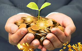 公布2月29日完整信息